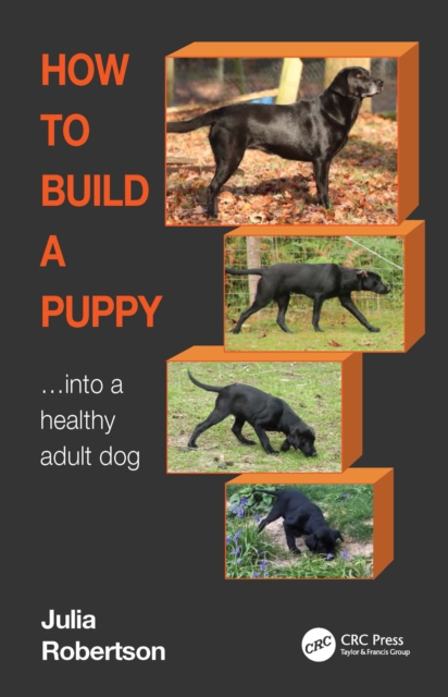 Book Cover for How to Build a Puppy by Julia Robertson