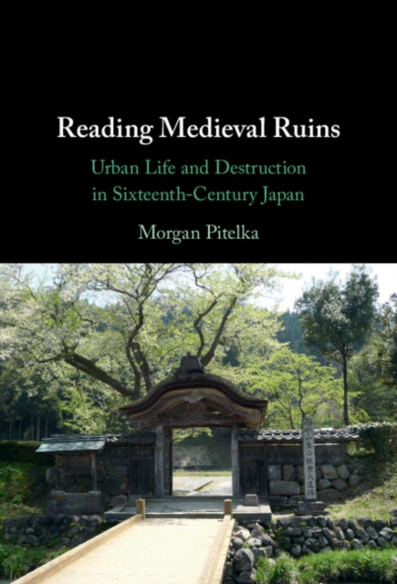 Book Cover for Reading Medieval Ruins by Morgan Pitelka