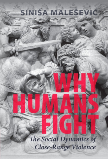 Book Cover for Why Humans Fight by Sinisa Malesevic