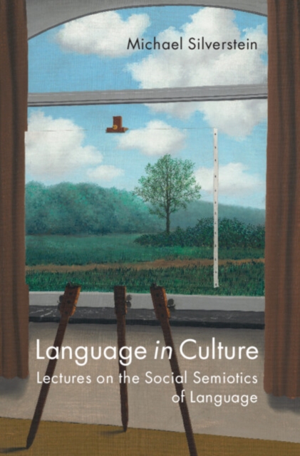 Book Cover for Language in Culture by Michael Silverstein