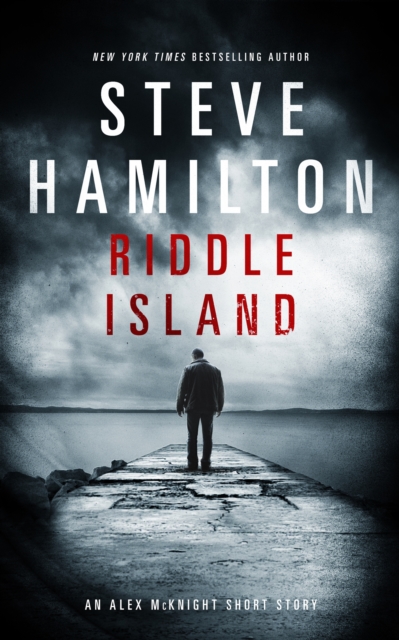 Book Cover for Riddle Island by Steve Hamilton