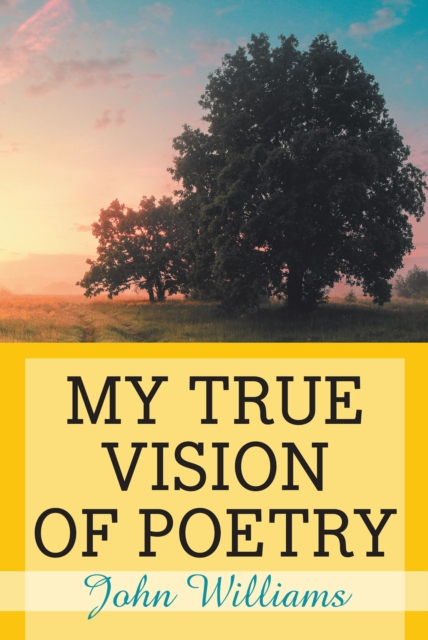 Book Cover for My True Vision of Poetry by John Williams