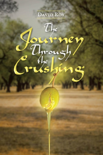 Book Cover for Journey Through the Crushing by David Roy