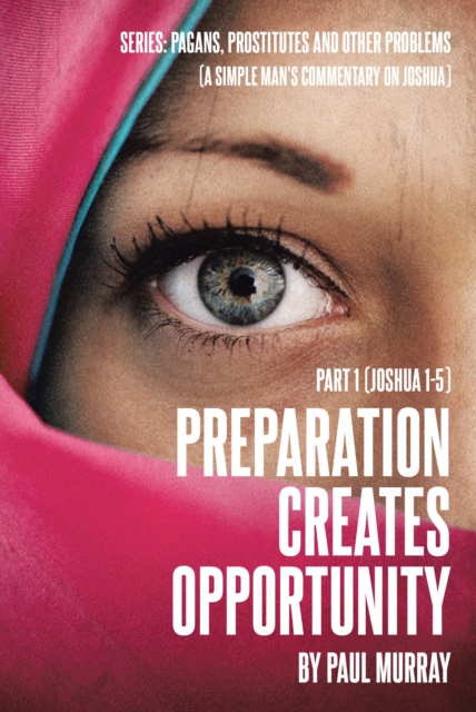 Book Cover for Preparation Creates Opportunity by Paul Murray