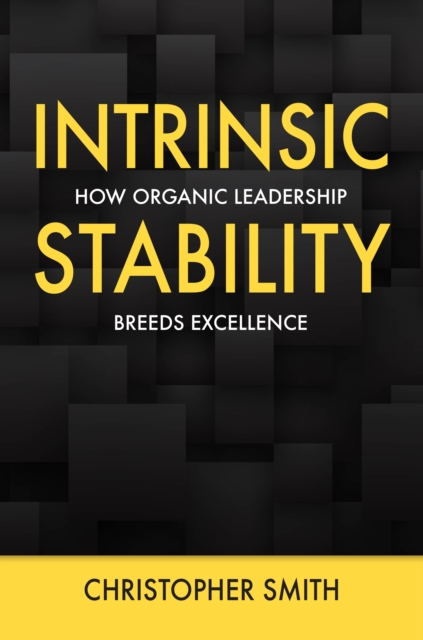 Book Cover for Intrinsic Stability by Christopher Smith