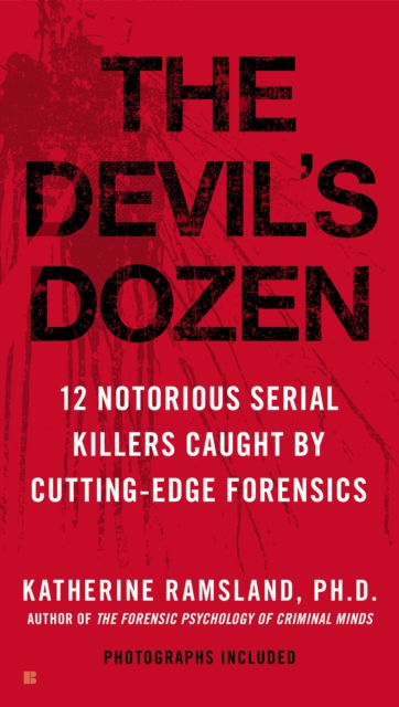 Book Cover for Devil's Dozen by Katherine Ramsland