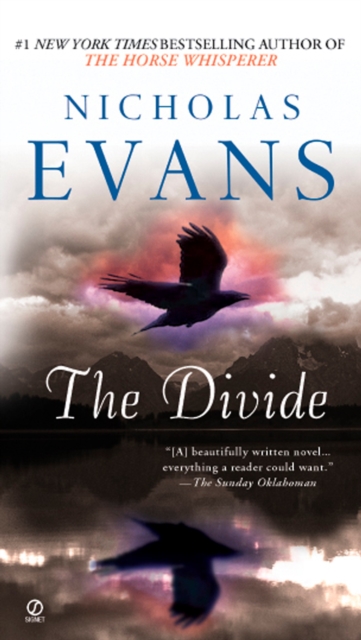 Book Cover for Divide by Nicholas Evans