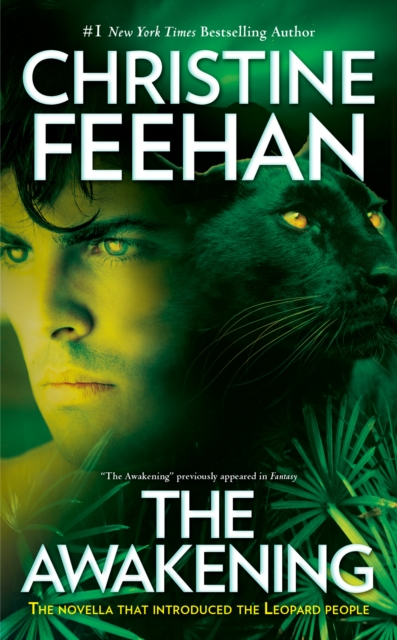 Book Cover for Awakening by Feehan, Christine