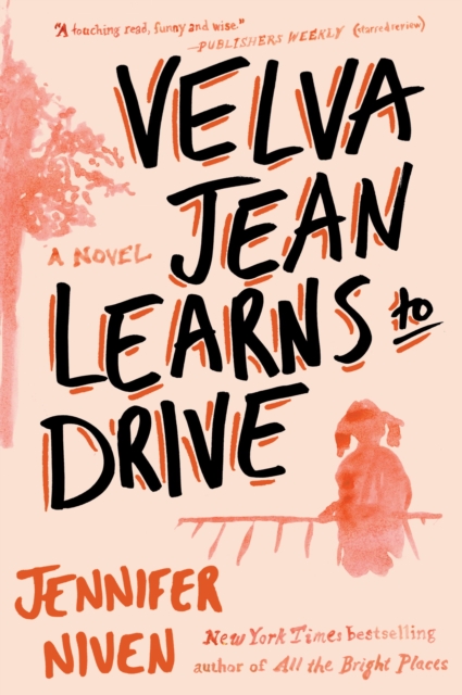 Book Cover for Velva Jean Learns to Drive by Niven, Jennifer