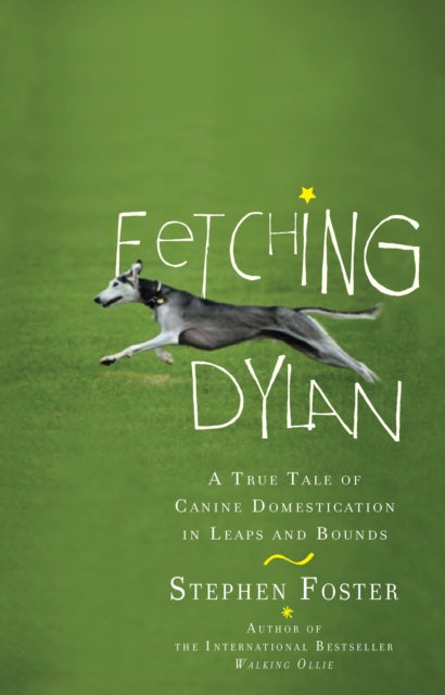 Book Cover for Fetching Dylan by Stephen Foster