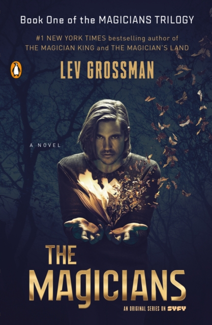 Book Cover for Magicians by Lev Grossman