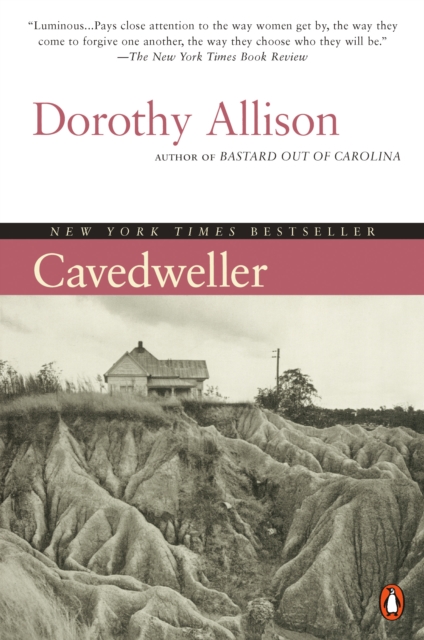 Book Cover for Cavedweller by Dorothy Allison