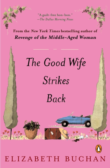 Book Cover for Good Wife Strikes Back by Elizabeth Buchan