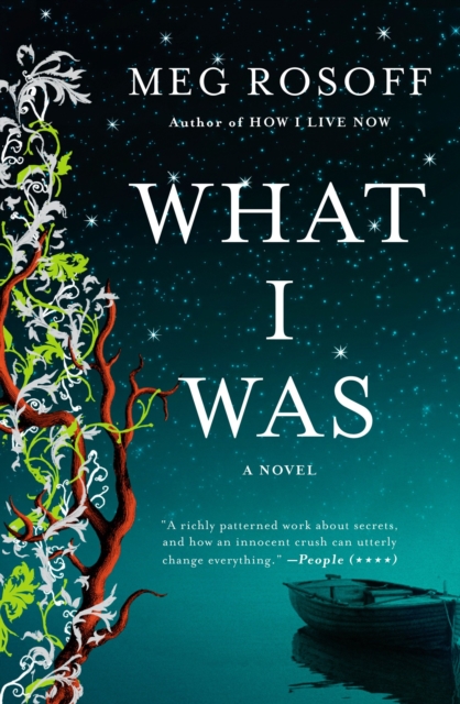 Book Cover for What I Was by Meg Rosoff