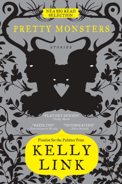 Book Cover for Pretty Monsters by Link, Kelly