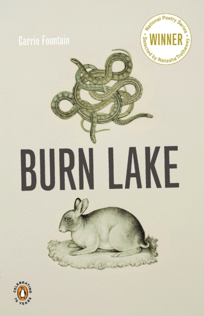 Book Cover for Burn Lake by Fountain, Carrie