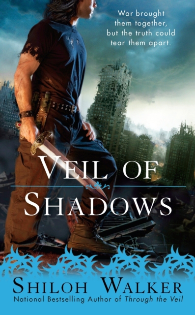 Book Cover for Veil of Shadows by Shiloh Walker