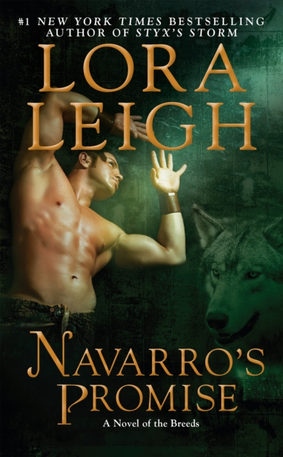 Book Cover for Navarro's Promise by Lora Leigh