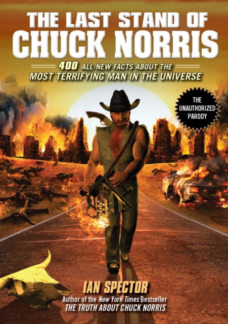 Book Cover for Last Stand of Chuck Norris by Ian Spector