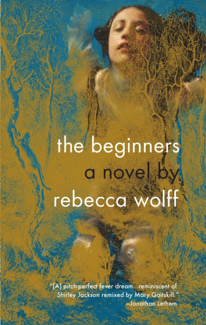 Book Cover for Beginners by Rebecca Wolff