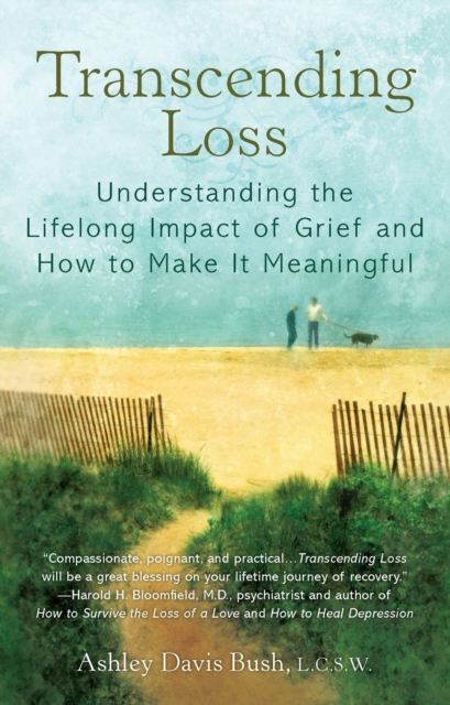 Book Cover for Transcending Loss by Ashley Davis Bush