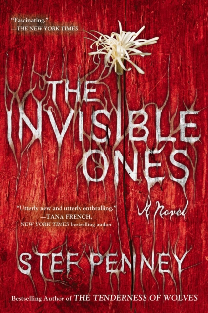 Book Cover for Invisible Ones by Stef Penney