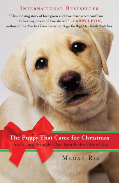 Book Cover for Puppy That Came for Christmas by Megan Rix
