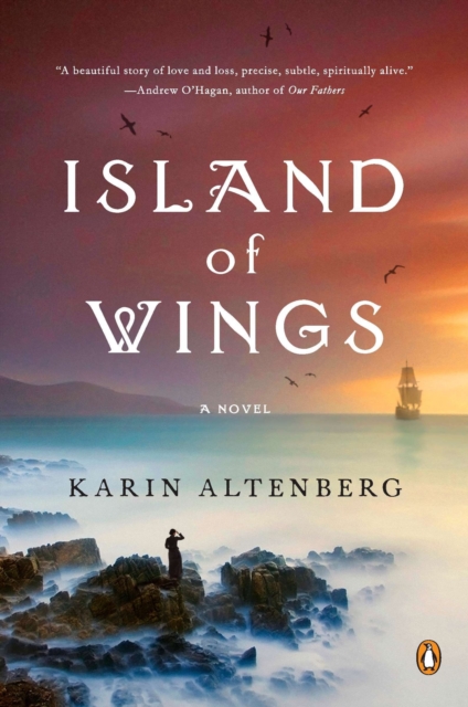 Book Cover for Island of Wings by Karin Altenberg