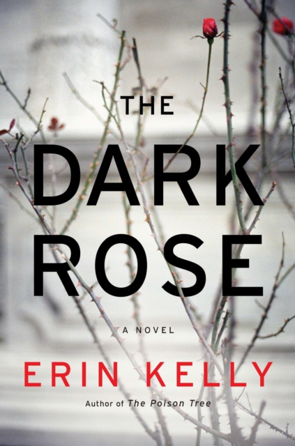 Book Cover for Dark Rose by Kelly, Erin