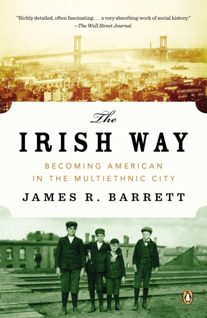 Book Cover for Irish Way by James R. Barrett