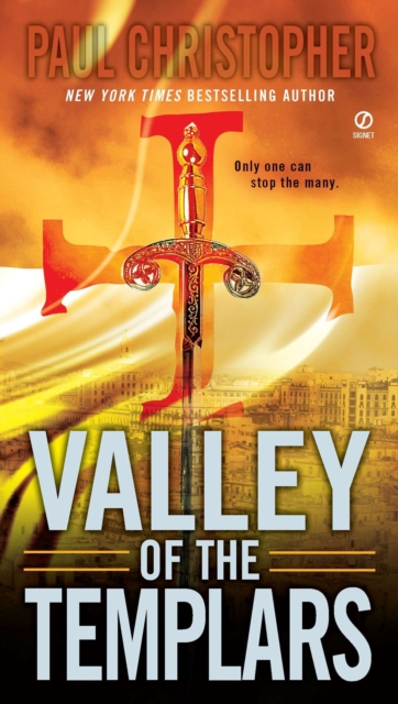 Book Cover for Valley of the Templars by Paul Christopher