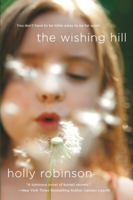 Book Cover for Wishing Hill by Holly Robinson