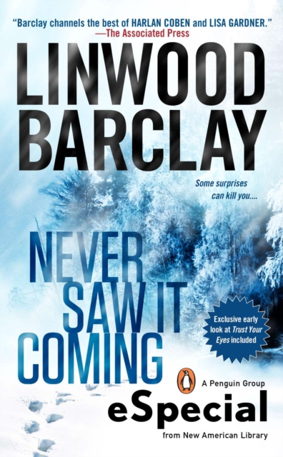 Book Cover for Never Saw It Coming by Linwood Barclay