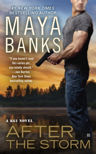 Book Cover for After the Storm by Banks, Maya