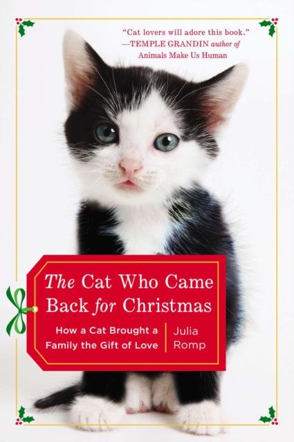 Book Cover for Cat Who Came Back for Christmas by Julia Romp