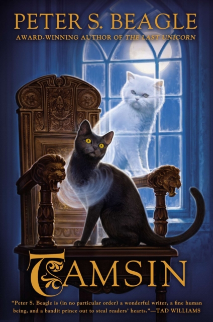 Book Cover for Tamsin by Peter S. Beagle