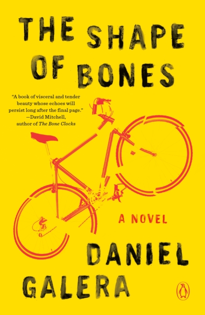 Book Cover for Shape of Bones by Daniel Galera