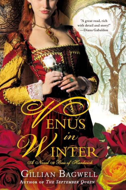 Book Cover for Venus in Winter by Gillian Bagwell