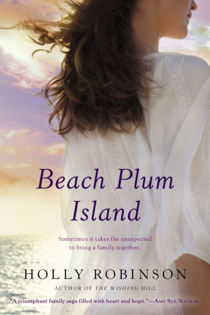Book Cover for Beach Plum Island by Holly Robinson