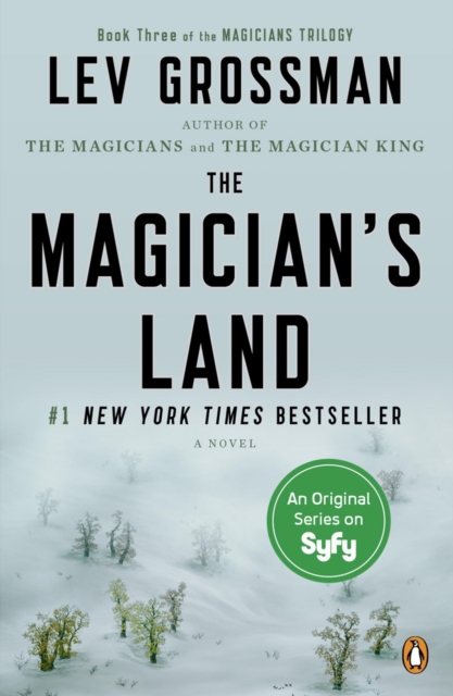 Book Cover for Magician's Land by Lev Grossman