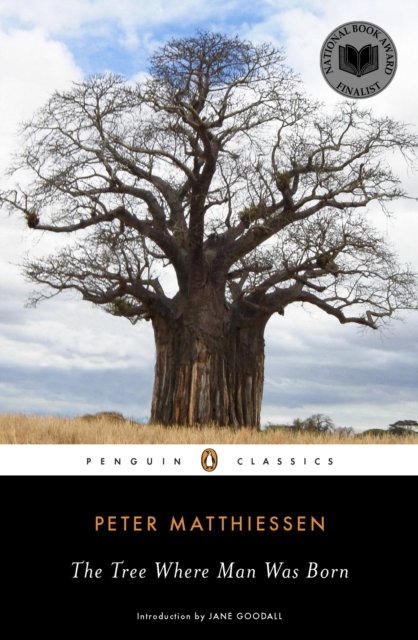 Book Cover for Tree Where Man Was Born by Matthiessen, Peter