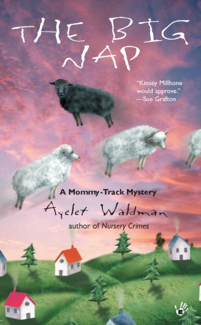 Book Cover for Big Nap by Ayelet Waldman