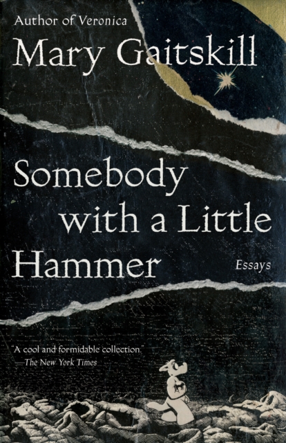 Book Cover for Somebody with a Little Hammer by Mary Gaitskill