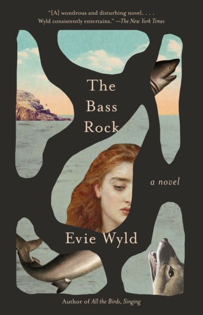 Book Cover for Bass Rock by Wyld, Evie