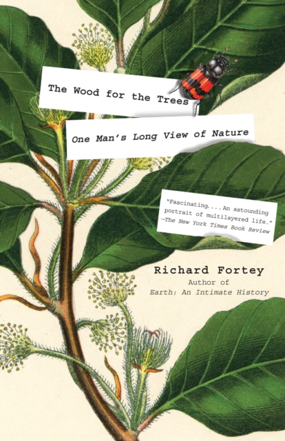 Book Cover for Wood for the Trees by Fortey, Richard