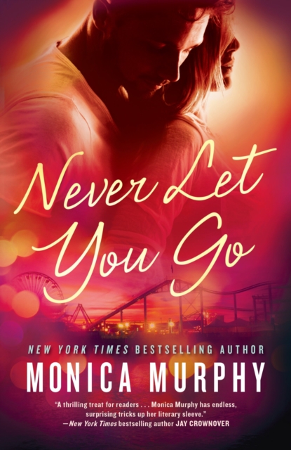 Book Cover for Never Let You Go by Monica Murphy