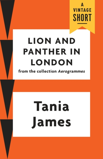 Book Cover for Lion and Panther in London by Tania James