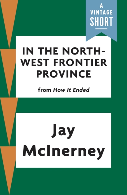 Book Cover for In the North-West Frontier Province by Jay McInerney