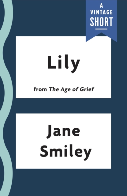 Book Cover for Lily by Jane Smiley