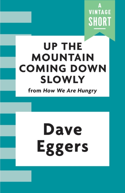 Book Cover for Up the Mountain Coming Down Slowly by Dave Eggers